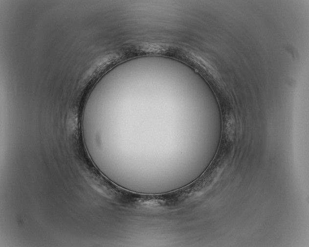 X0000113150407200909181754