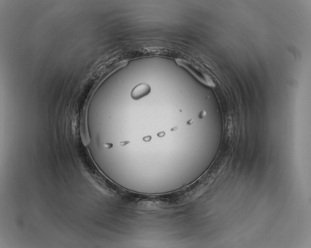 X0000113150408200909181754