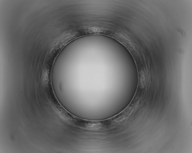 X0000113150410200909181754