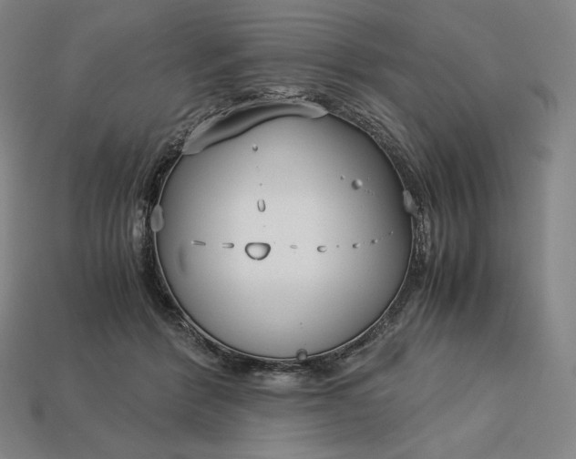 X0000113150412200909181754