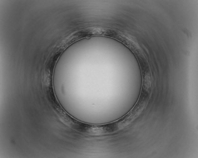 X0000113150413200909181754