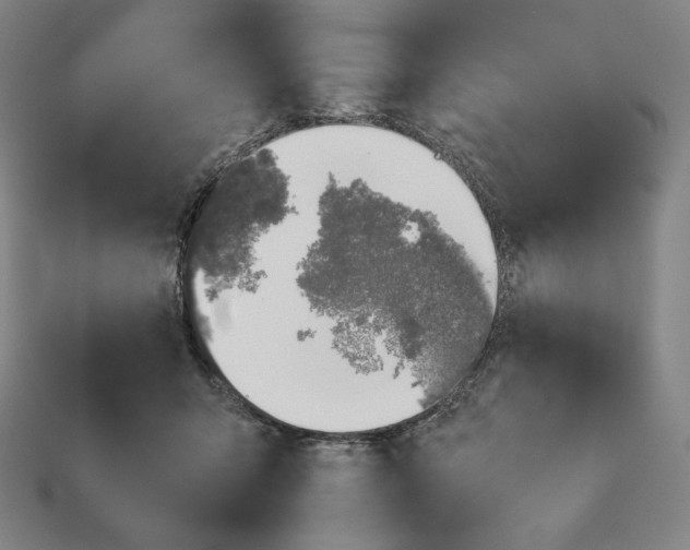 X0000113150415200909181754