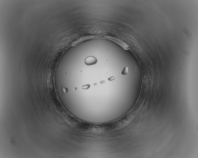 X0000113150416200909181754