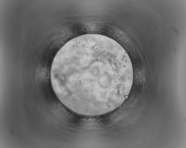 X0000113150419200909181754