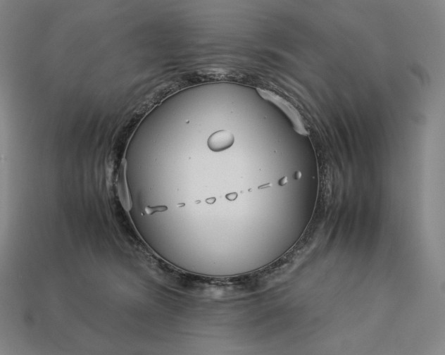 X0000113150420200909181754