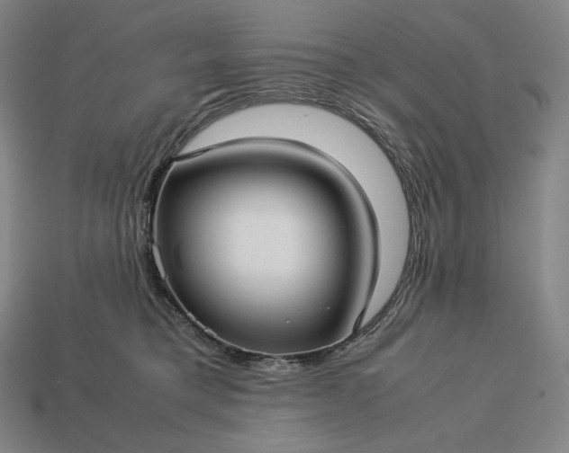 X0000113150421200909181754