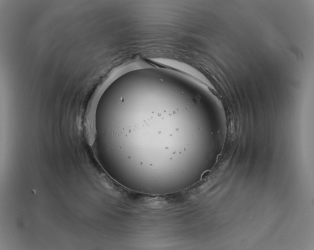 X0000113150424200909181754