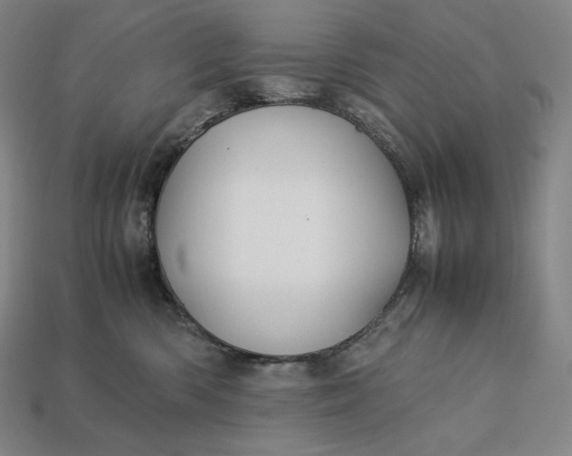 X0000113150426200909181754