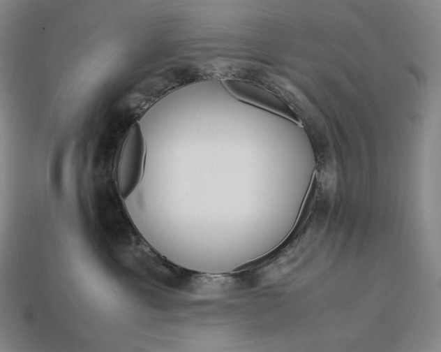 X0000113150429200909181754