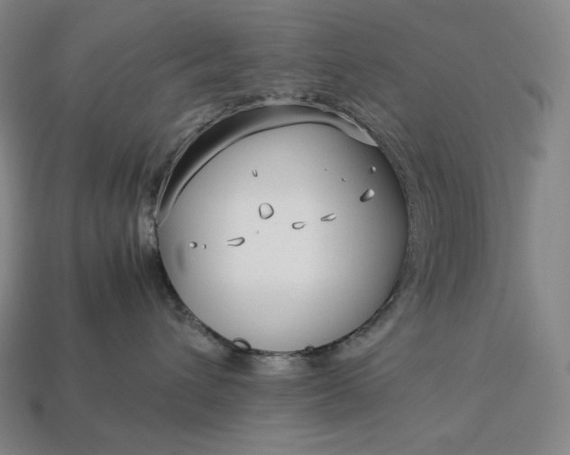 X0000113150432200909181754