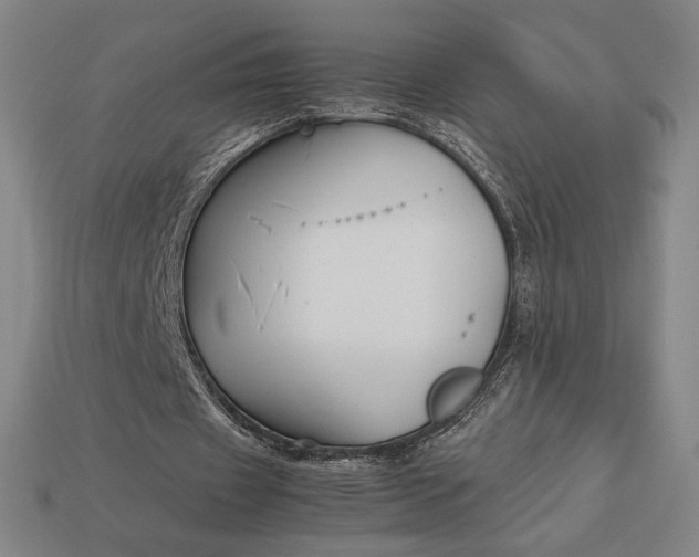 X0000113150433200909181753