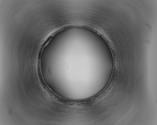 X0000113150434200909181753