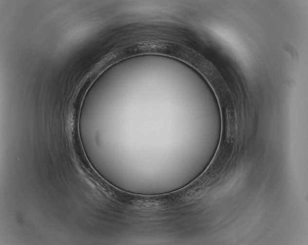 X0000113150435200909181753