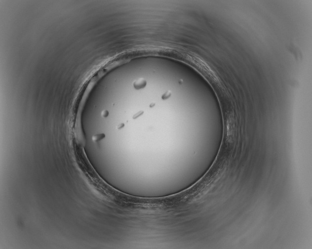 X0000113150436200909181753