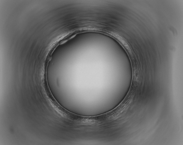 X0000113150437200909181753