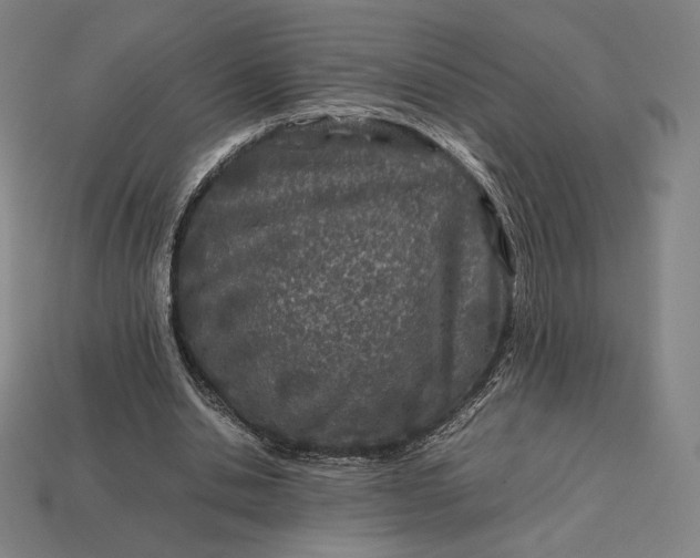 X0000113150438200909181753