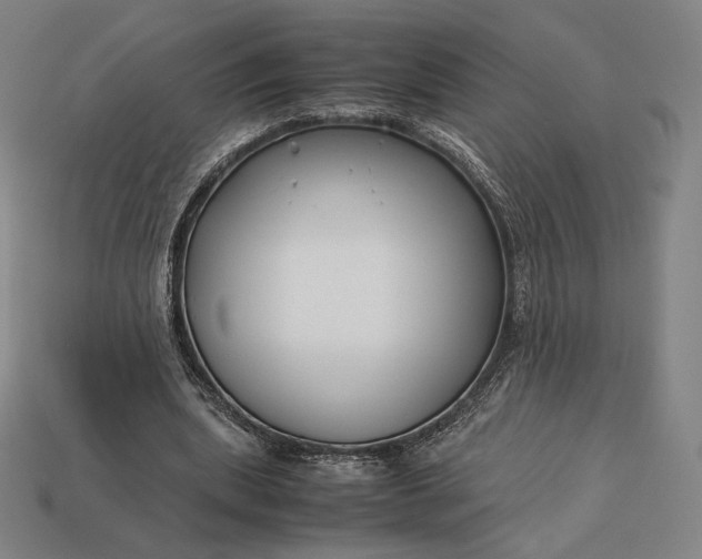 X0000113150439200909181753