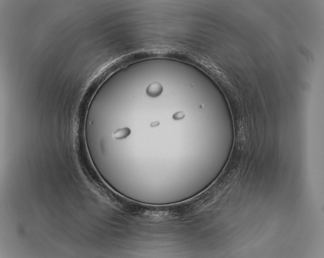 X0000113150440200909181753