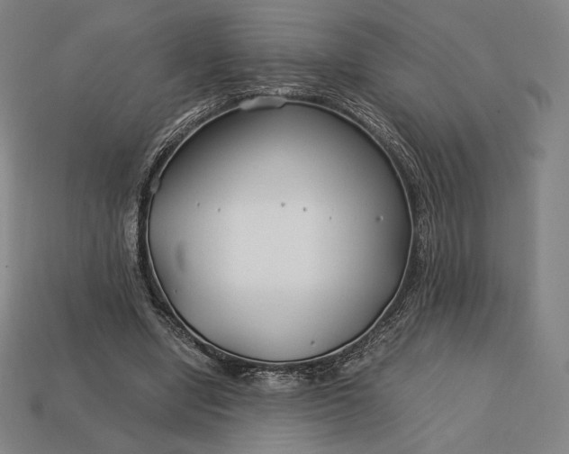 X0000113150442200909181753