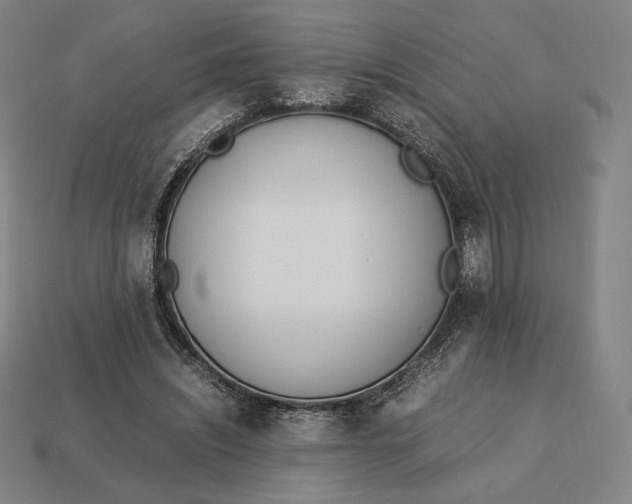 X0000113150444200909181753