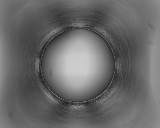 X0000113150445200909181753