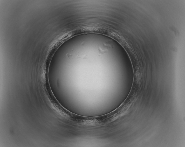 X0000113150446200909181753