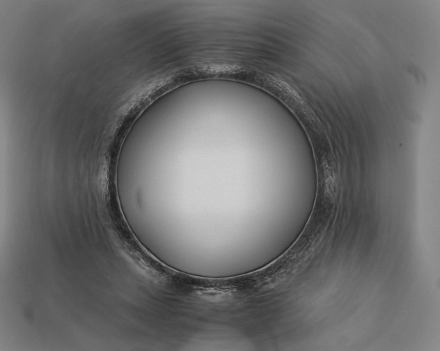 X0000113150447200909181754