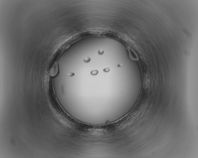 X0000113150448200909181754