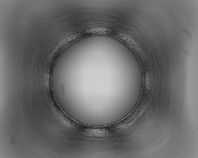 X0000113150449200909181754