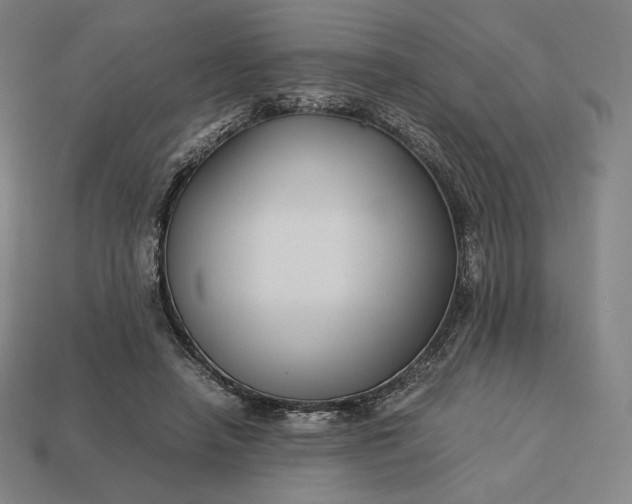 X0000113150450200909181754