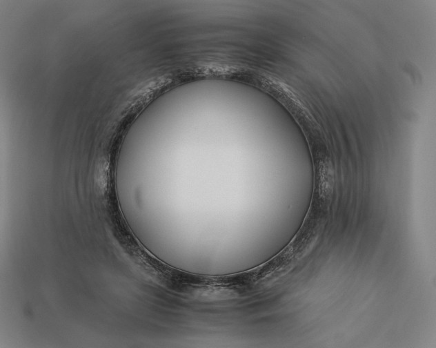 X0000113150451200909181754