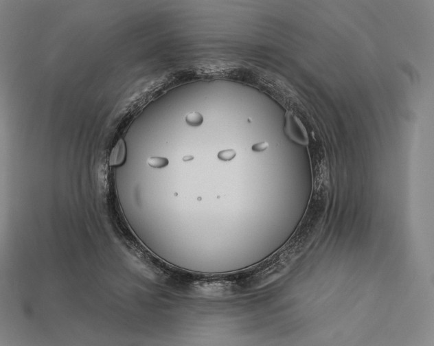 X0000113150452200909181754