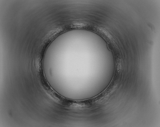 X0000113150455200909181754