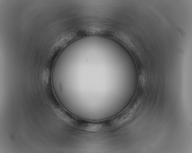 X0000113150458200909181754