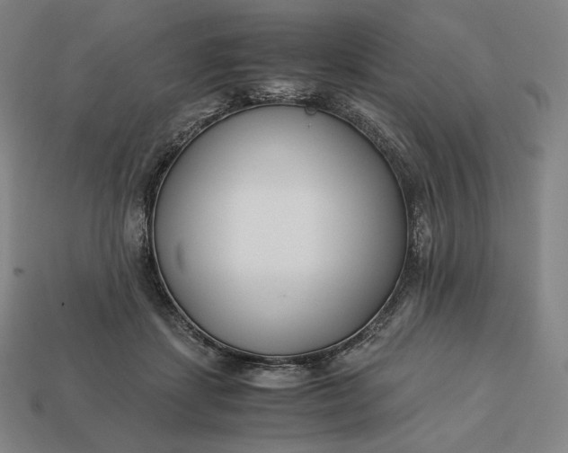 X0000113150459200909181754