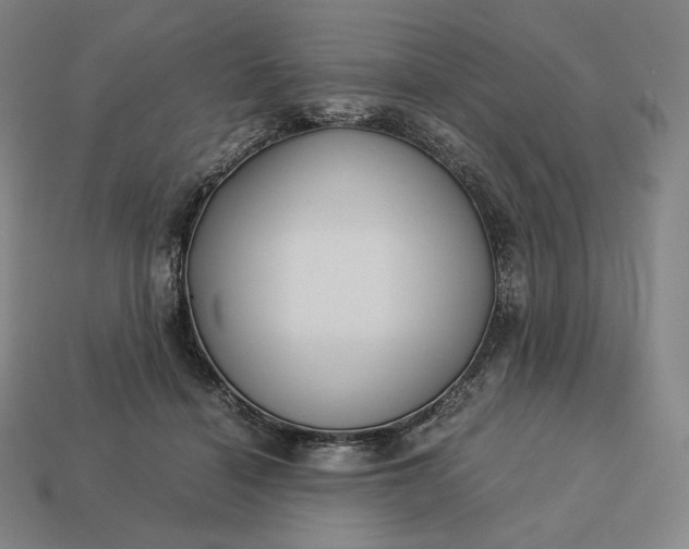 X0000113150460200909181754