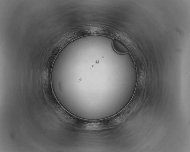 X0000113150461200909181754