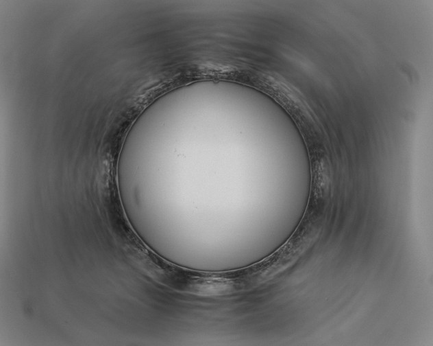 X0000113150463200909181754