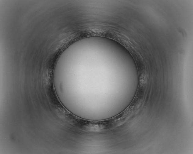 X0000113150464200909181754