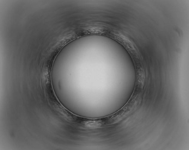 X0000113150465200909181754