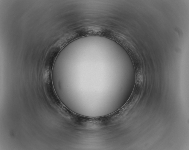 X0000113150468200909181754