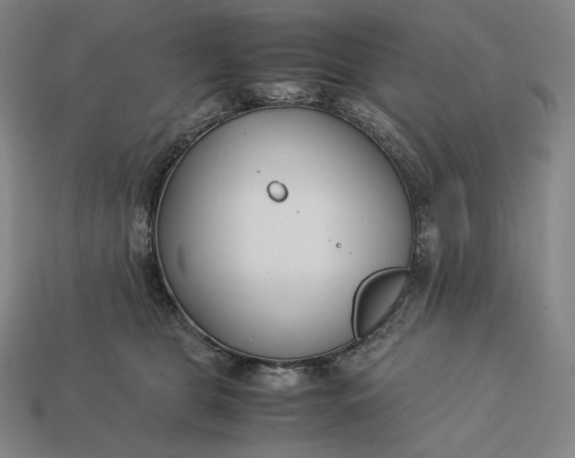 X0000113150469200909181754