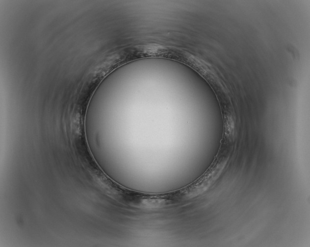 X0000113150470200909181754