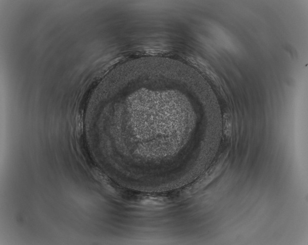 X0000113150471200909181754