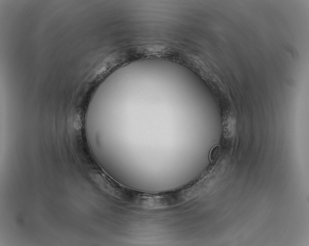 X0000113150472200909181754