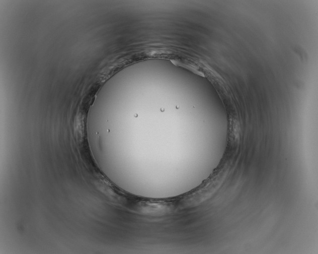 X0000113150475200909181754