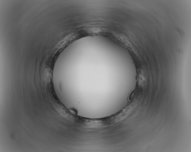 X0000113150476200909181754