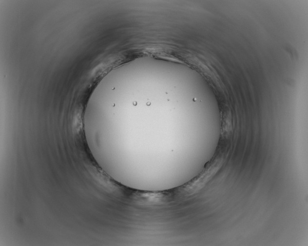 X0000113150478200909181754