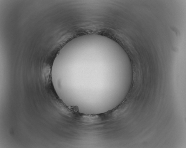 X0000113150480200909181754