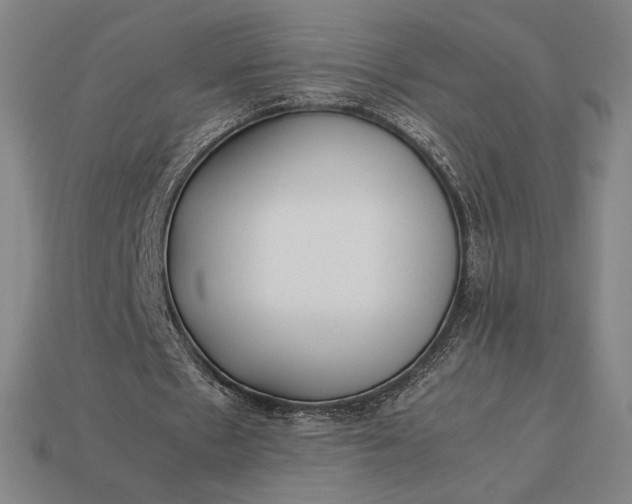 X0000113150481200909181753